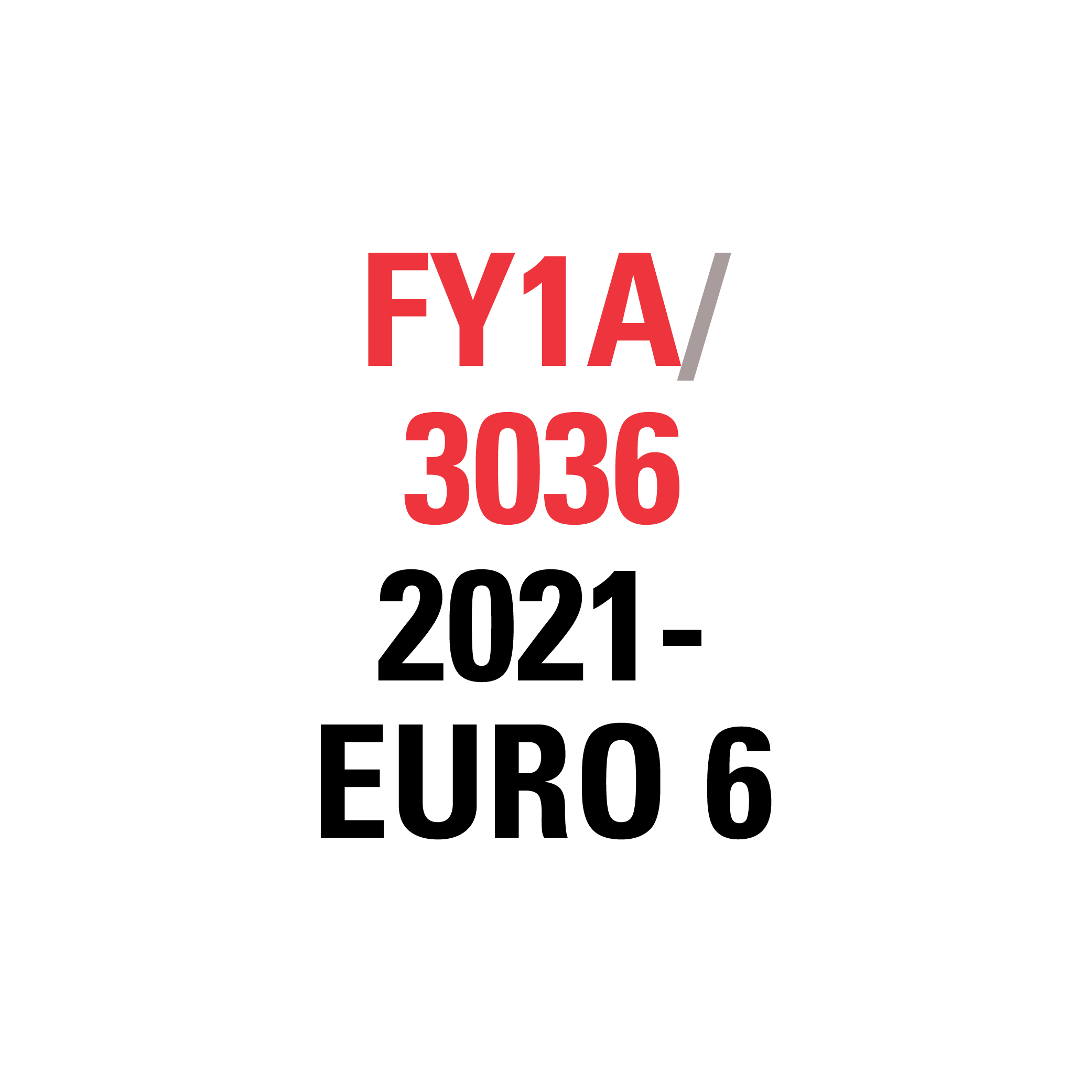 FY1A 3036 06/2021- EURO 6